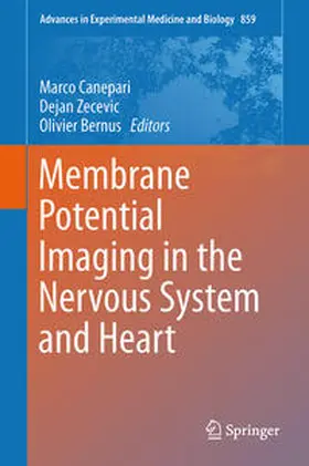 Canepari / Zecevic / Bernus | Membrane Potential Imaging in the Nervous System and Heart | Buch | 978-3-319-17640-6 | www.sack.de