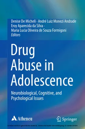 De Micheli / Andrade / da Silva |  Drug Abuse in Adolescence | eBook | Sack Fachmedien