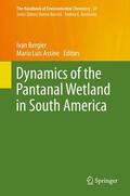 Assine / Bergier |  Dynamics of the Pantanal Wetland in South America | Buch |  Sack Fachmedien
