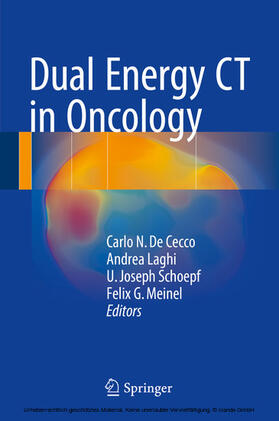 De Cecco / Laghi / Schoepf | Dual Energy CT in Oncology | E-Book | sack.de