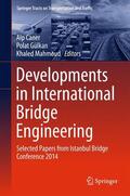 Caner / Mahmoud / Gülkan |  Developments in International Bridge Engineering | Buch |  Sack Fachmedien
