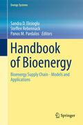 Eksioglu / Rebennack / Pardalos |  Handbook of Bioenergy | eBook | Sack Fachmedien