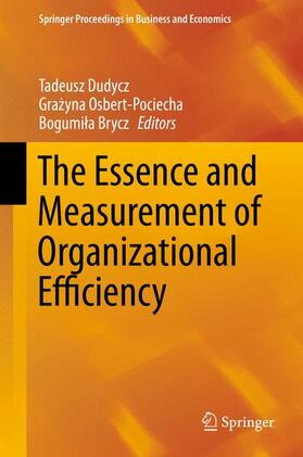 Dudycz / Brycz / Osbert-Pociecha | The Essence and Measurement of Organizational Efficiency | Buch | 978-3-319-21138-1 | sack.de