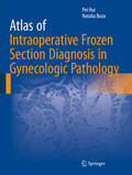 Hui / Buza |  Atlas of Intraoperative Frozen Section Diagnosis in Gynecologic Pathology | eBook | Sack Fachmedien