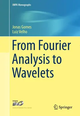 Velho / Gomes |  From Fourier Analysis to Wavelets | Buch |  Sack Fachmedien