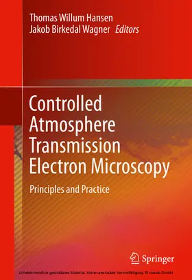 Hansen / Wagner | Controlled Atmosphere Transmission Electron Microscopy | E-Book | www.sack.de