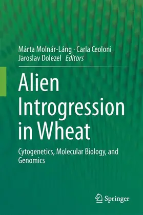 Molnár-Láng / Ceoloni / Doležel | Alien Introgression in Wheat | Buch | 978-3-319-23493-9 | www.sack.de