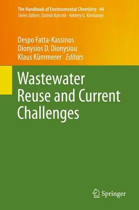 Fatta-Kassinos / Kümmerer / Dionysiou |  Wastewater Reuse and Current Challenges | Buch |  Sack Fachmedien