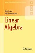 Mehrmann / Liesen |  Linear Algebra | Buch |  Sack Fachmedien