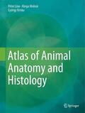 Molnár / Low / Low |  Atlas of Animal Anatomy and Histology | Buch |  Sack Fachmedien