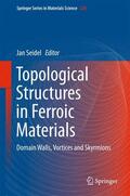 Seidel |  Topological Structures in Ferroic Materials | Buch |  Sack Fachmedien