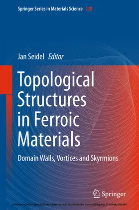 Seidel | Topological Structures in Ferroic Materials | E-Book | sack.de