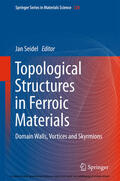 Seidel |  Topological Structures in Ferroic Materials | eBook | Sack Fachmedien
