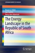 Pollet / Staffell / Adamson |  The Energy Landscape in the Republic of South Africa | eBook | Sack Fachmedien
