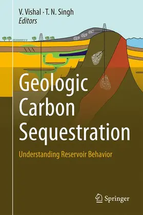 Vishal / Singh | Geologic Carbon Sequestration | Buch | 978-3-319-27017-3 | www.sack.de