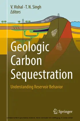 Vishal / Singh |  Geologic Carbon Sequestration | eBook | Sack Fachmedien