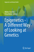 Doerfler / Böhm |  Epigenetics - A Different Way of Looking at Genetics | eBook | Sack Fachmedien