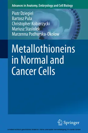 Dziegiel / Pula / Kobierzycki | Metallothioneins in Normal and Cancer Cells | E-Book | www.sack.de