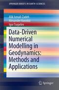 Ismail-Zadeh / Tsepelev / Korotkii |  Data-Driven Numerical Modelling in Geodynamics: Methods and Applications | Buch |  Sack Fachmedien