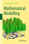Heiliö / Pohjolainen / Suutala |  Mathematical Modelling | Buch |  Sack Fachmedien