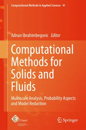 Ibrahimbegovic |  Computational Methods for Solids and Fluids | eBook | Sack Fachmedien