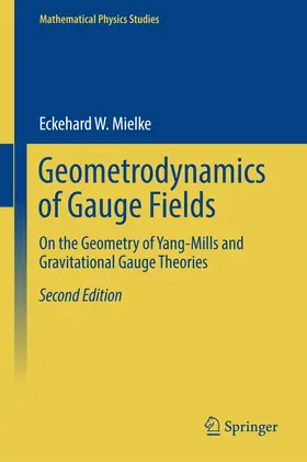 Mielke | Geometrodynamics of Gauge Fields | E-Book | sack.de