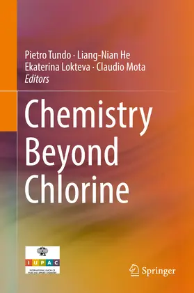 Tundo / He / Lokteva |  Chemistry Beyond Chlorine | eBook | Sack Fachmedien