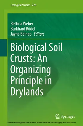 Weber / Büdel / Belnap |  Biological Soil Crusts: An Organizing Principle in Drylands | eBook | Sack Fachmedien