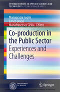Fugini / Bracci / Sicilia |  Co-production in the Public Sector | eBook | Sack Fachmedien