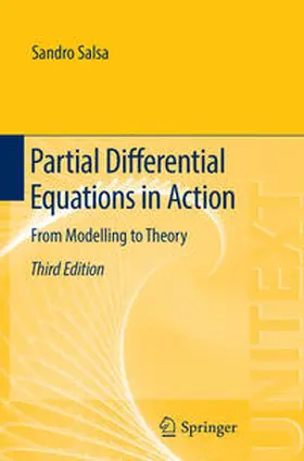 Salsa |  Partial Differential Equations in Action | eBook | Sack Fachmedien