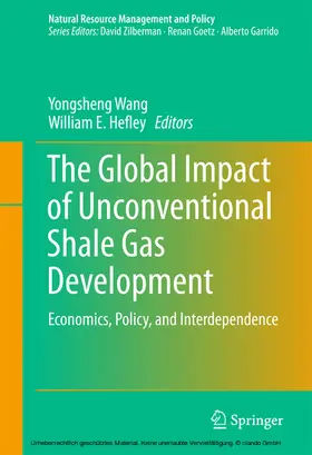 Wang / Hefley | The Global Impact of Unconventional Shale Gas Development | E-Book | sack.de