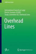 Papailiou |  Overhead Lines | Buch |  Sack Fachmedien