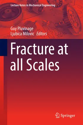 Pluvinage / Milovic | Fracture at all Scales | E-Book | sack.de