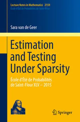 van de Geer |  Estimation and Testing Under Sparsity | eBook | Sack Fachmedien