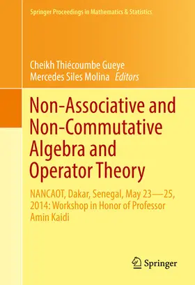 Gueye / Molina |  Non-Associative and Non-Commutative Algebra and Operator Theory | eBook | Sack Fachmedien
