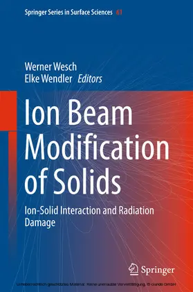 Wesch / Wendler | Ion Beam Modification of Solids | E-Book | sack.de