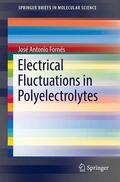 Fornés |  Electrical Fluctuations in Polyelectrolytes | Buch |  Sack Fachmedien