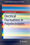 Fornés |  Electrical Fluctuations in Polyelectrolytes | eBook | Sack Fachmedien