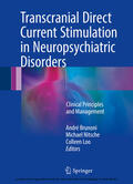 Brunoni / Nitsche / Loo |  Transcranial Direct Current Stimulation in Neuropsychiatric Disorders | eBook | Sack Fachmedien
