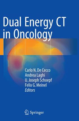 De Cecco / Meinel / Laghi | Dual Energy CT in Oncology | Buch | 978-3-319-36084-3 | sack.de