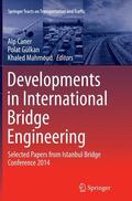 Caner / Mahmoud / Gülkan |  Developments in International Bridge Engineering | Buch |  Sack Fachmedien