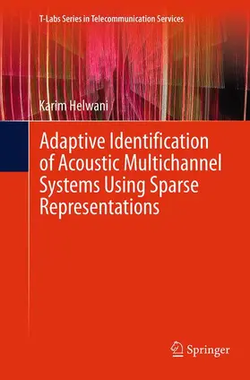 Helwani |  Adaptive Identification of Acoustic Multichannel Systems Using Sparse Representations | Buch |  Sack Fachmedien