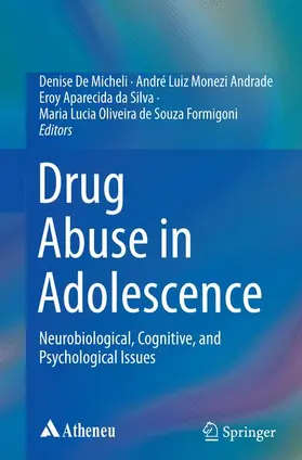 De Micheli / de Souza Formigoni / Andrade |  Drug Abuse in Adolescence | Buch |  Sack Fachmedien