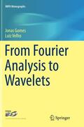Velho / Gomes |  From Fourier Analysis to Wavelets | Buch |  Sack Fachmedien