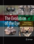 Paulus / Glaeser |  The Evolution of the Eye | Buch |  Sack Fachmedien