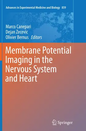 Canepari / Zecevic / Bernus |  Membrane Potential Imaging in the Nervous System and Heart | Buch |  Sack Fachmedien