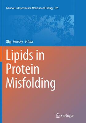 Gursky | Lipids in Protein Misfolding | Buch | 978-3-319-37205-1 | sack.de