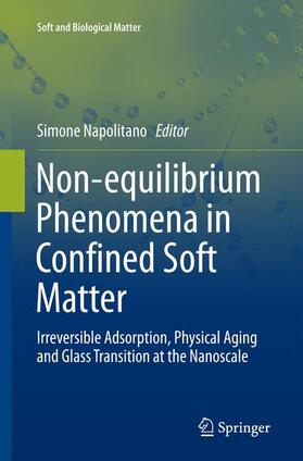 Napolitano | Non-equilibrium Phenomena in Confined Soft Matter | Buch | 978-3-319-37291-4 | sack.de