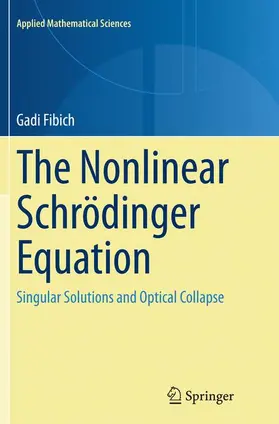 Fibich |  The Nonlinear Schrödinger Equation | Buch |  Sack Fachmedien