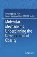 Rodriguez-López / Nóbrega |  Molecular Mechanisms Underpinning the Development of Obesity | Buch |  Sack Fachmedien